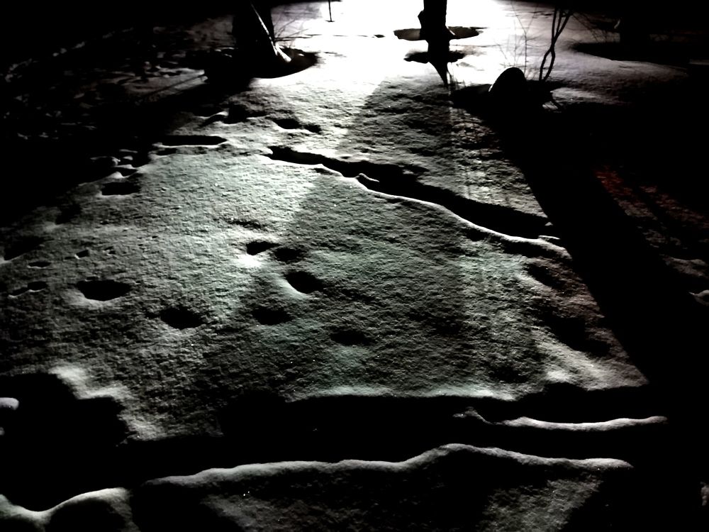 Photograph by Кирилл Попов