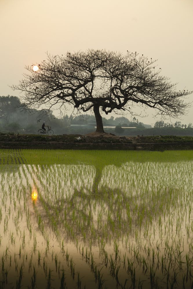 Photograph by Sky Hunter Duy Quang