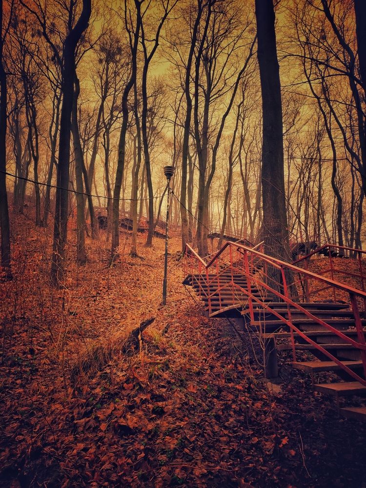 Photograph by Виталий Попов