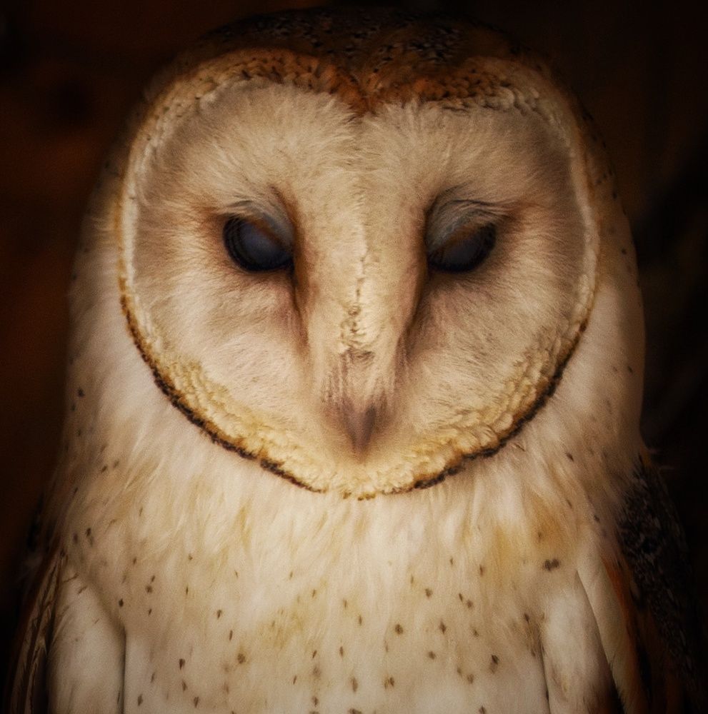 Photograph by Leanid Kulpo