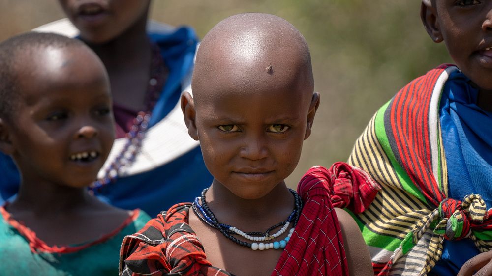 Photograph by Artem Khazov