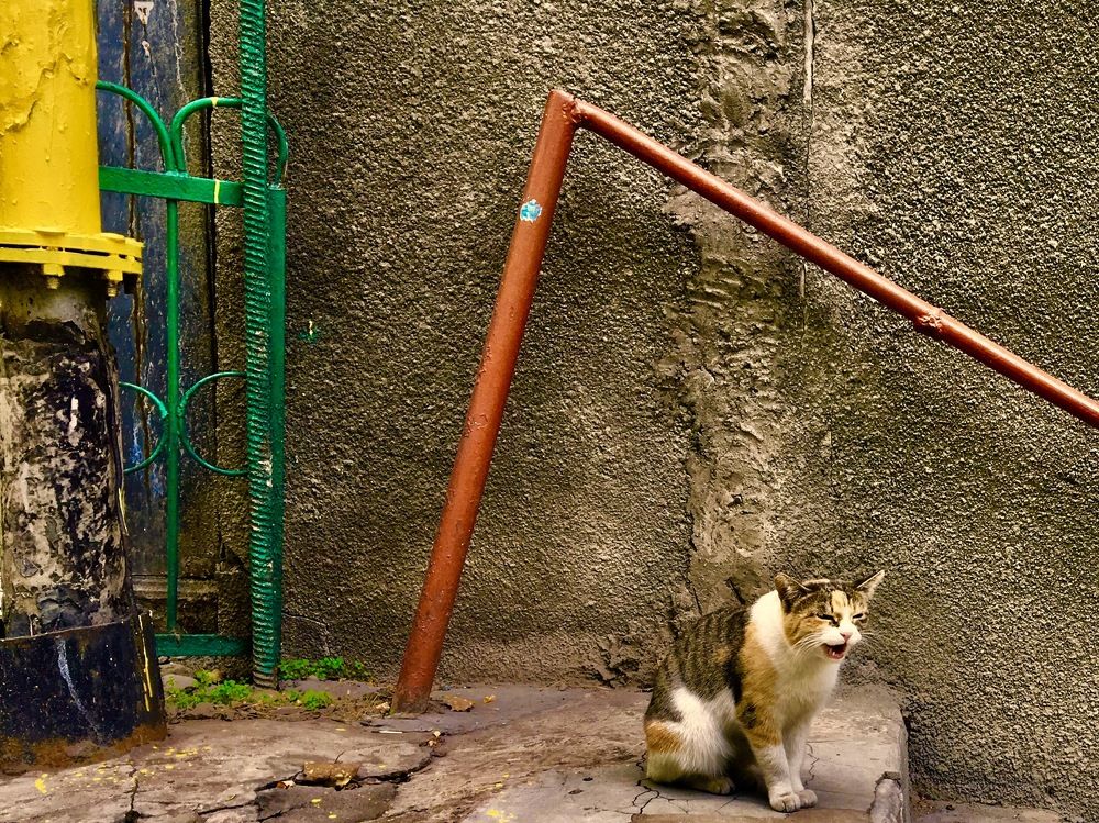 Photograph by Елена Ким