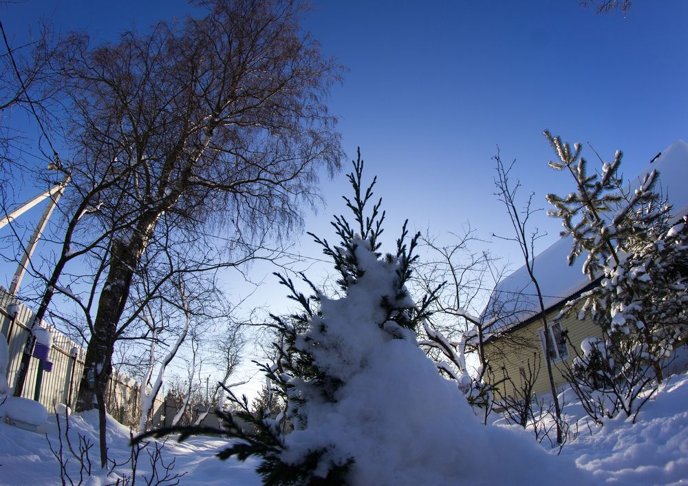 Photograph by Екатерина Филина