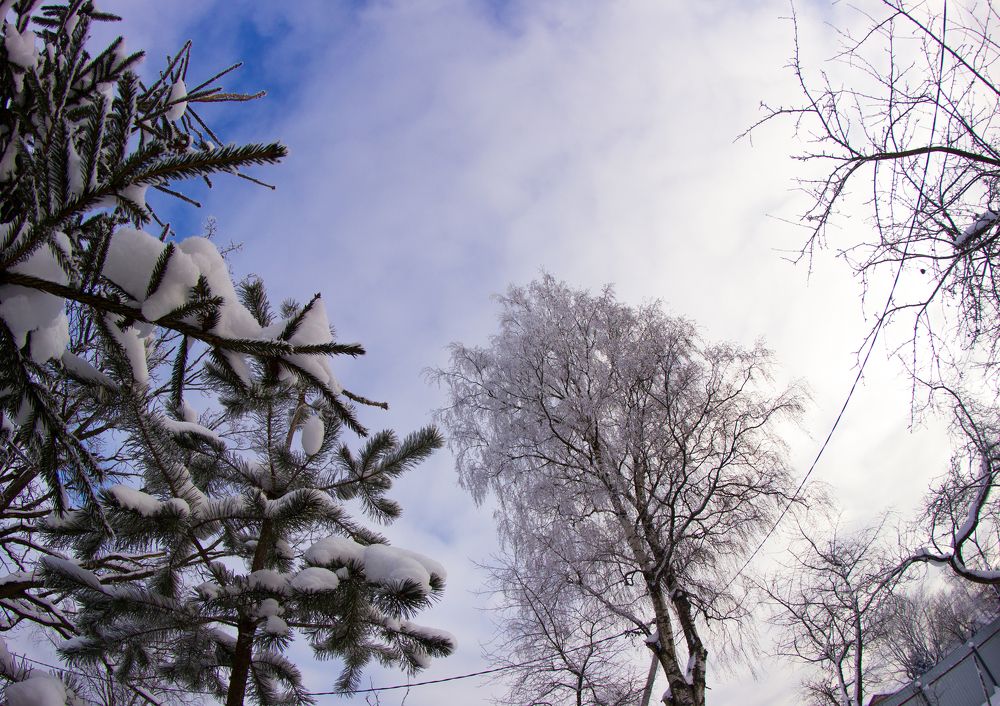 Photograph by Екатерина Филина
