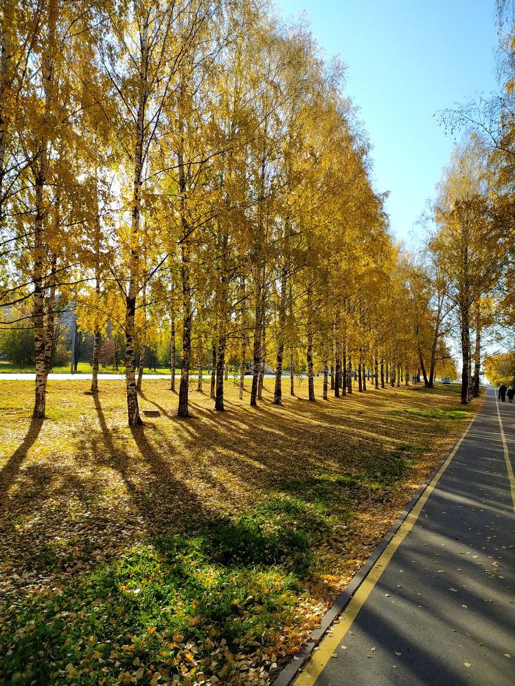 Photograph by Светлана Семенова