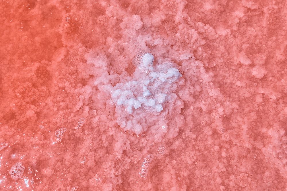 Сасык-Сиваш.