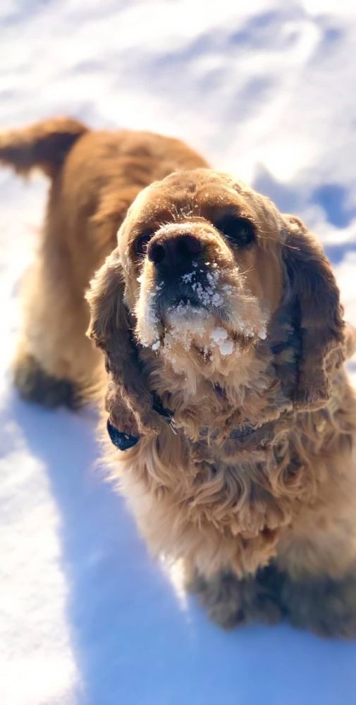 Photograph by Екатерина Раевская