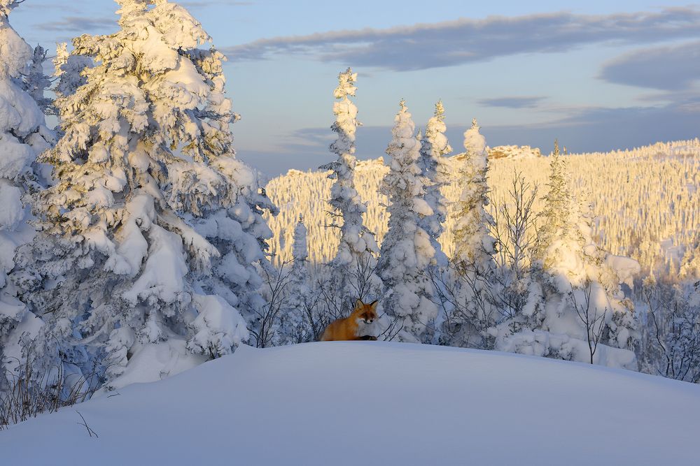 На восходе.
