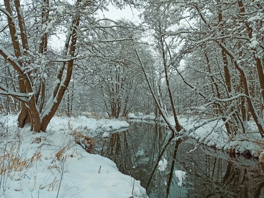 Первый снег