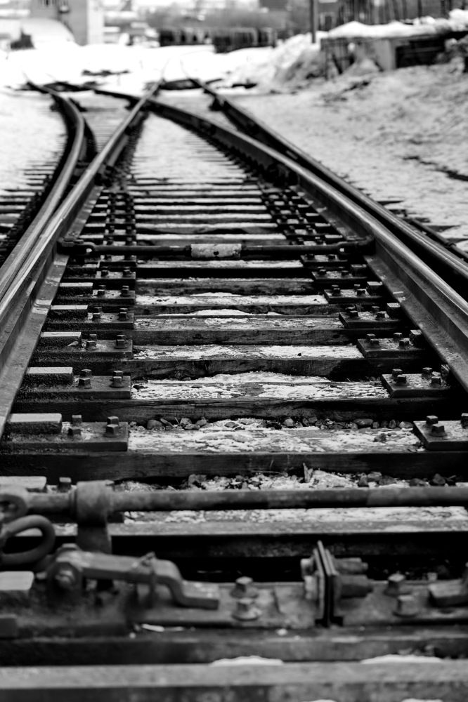 Photograph by Константин Лагоденко