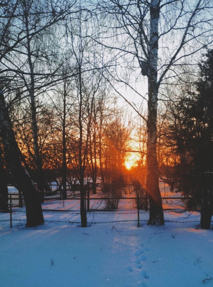 Photograph by Олеся