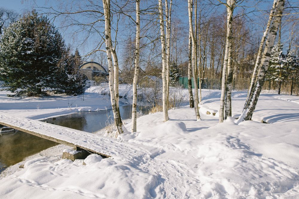 Photograph by Сергеева Марина