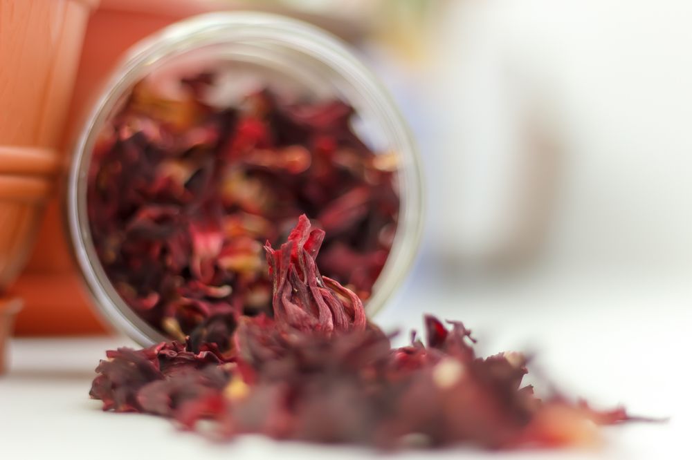 Photograph by Елена Кириллова