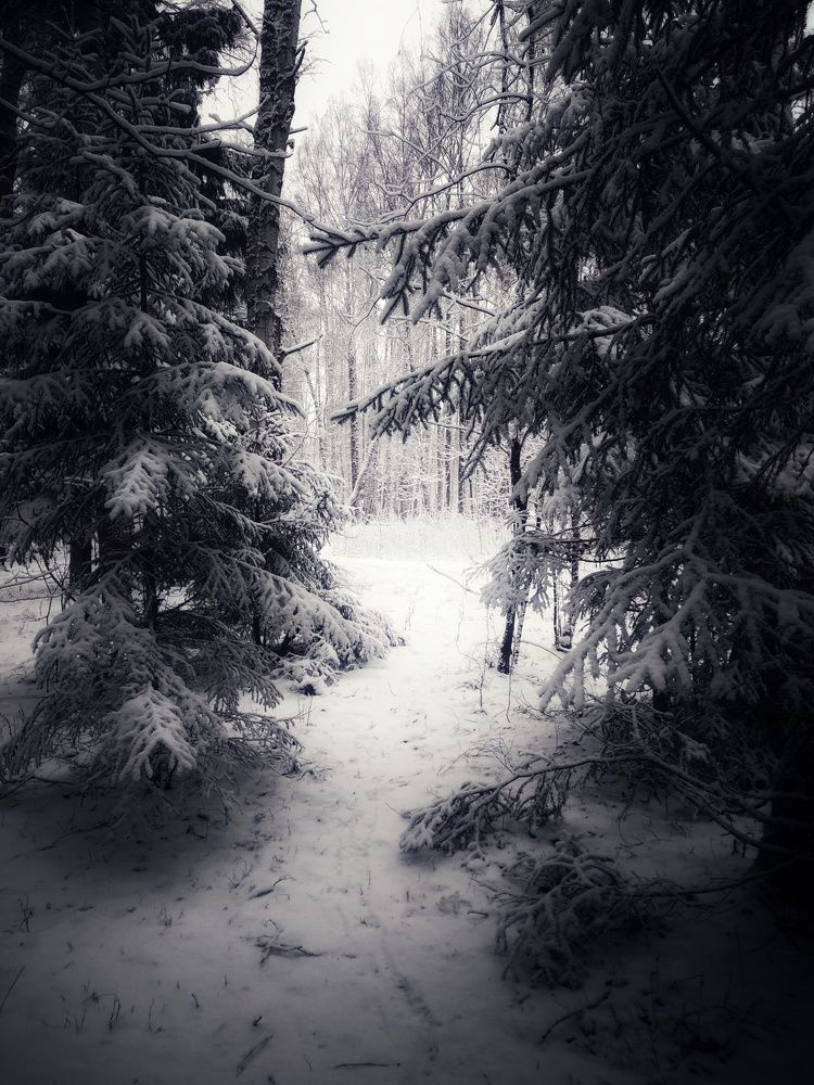 Photograph by Людмила М