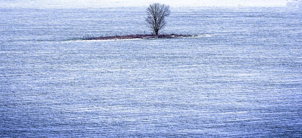 Зимнее одиночество.