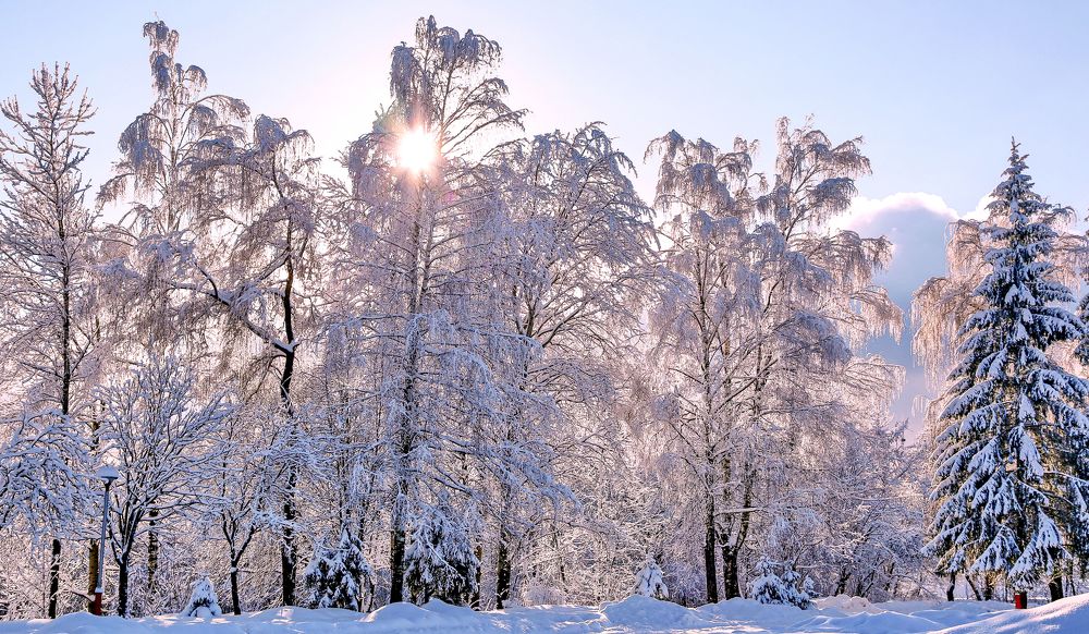 Photograph by Павел Стрельцов