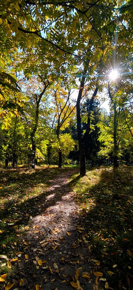 Золотые тени