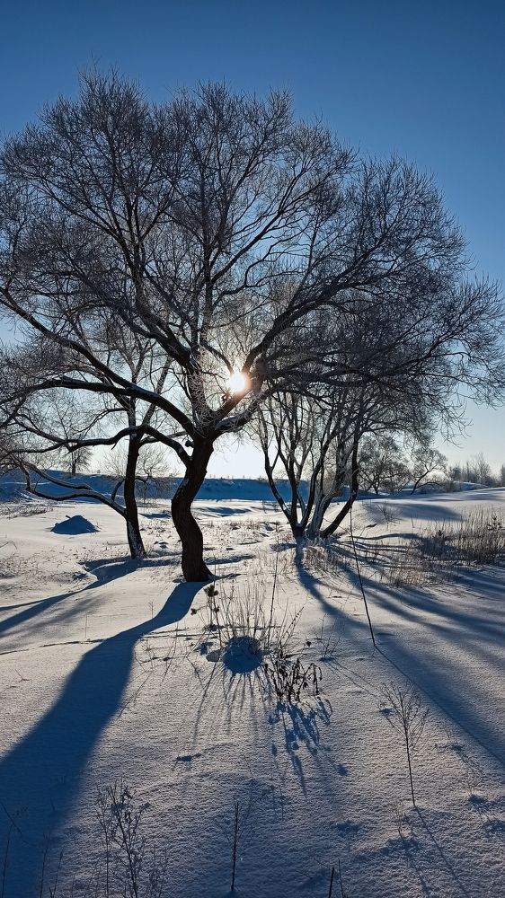 Морозный февраль