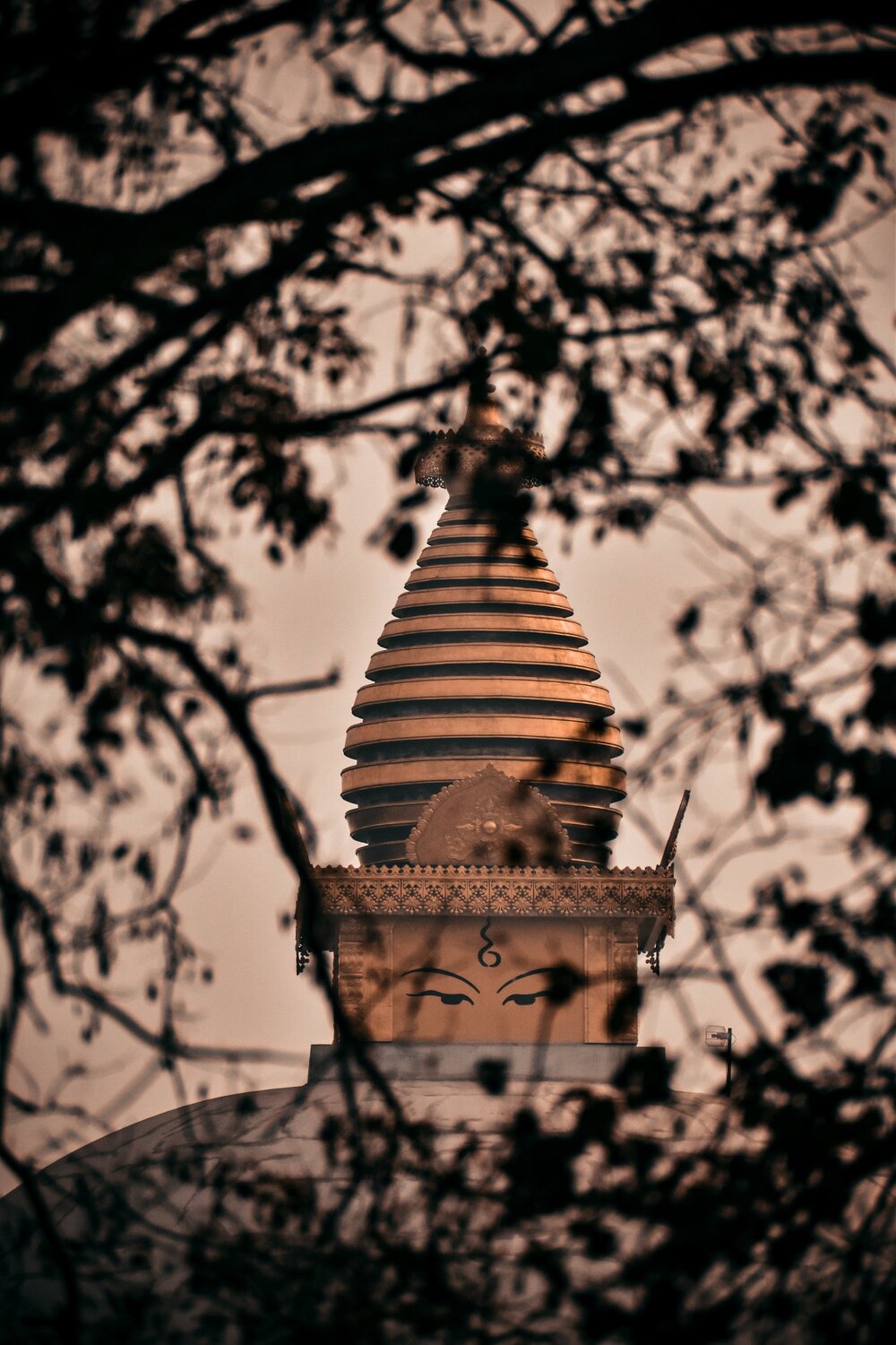 He is watching all of us.✨