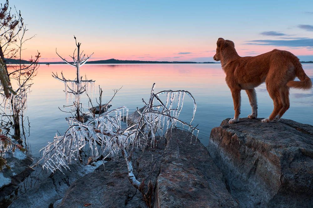 Мы с Джульбарсом на границе