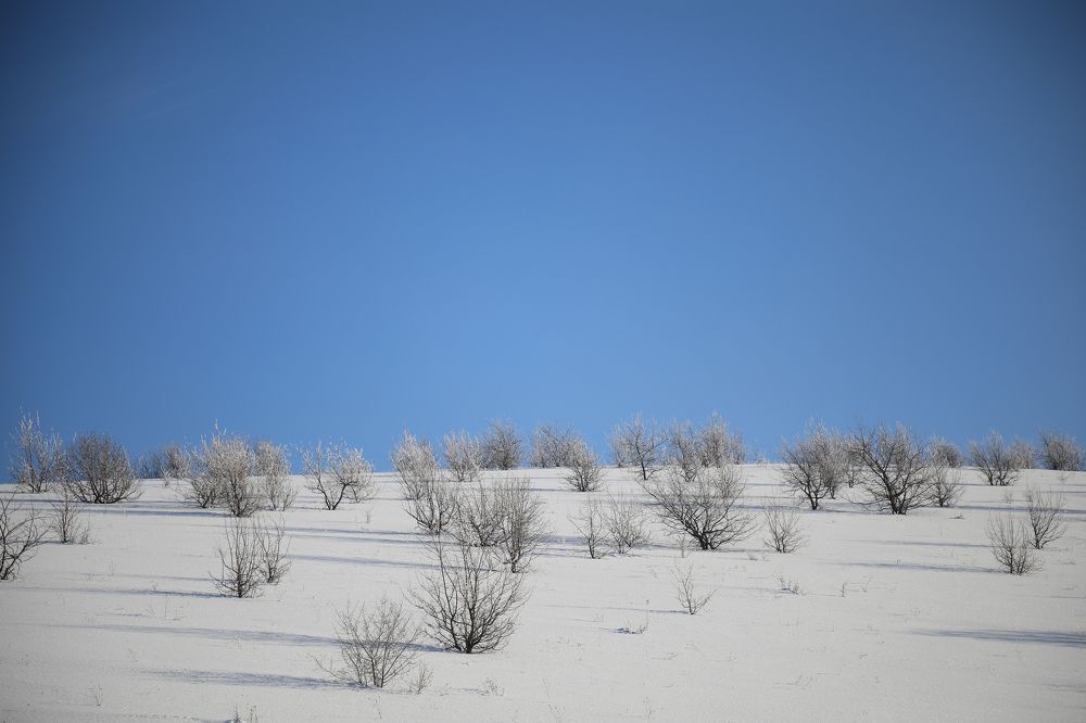 Photograph by Шаталина Оксана