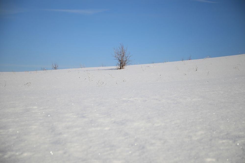 Photograph by Шаталина Оксана