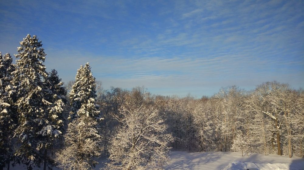 Photograph by Мария Сазонова