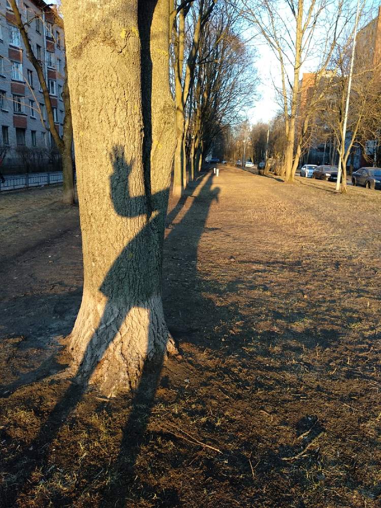 Photograph by Лариса Шишкова