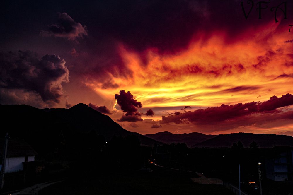 Photograph by Florentina-Adriana Vasilescu