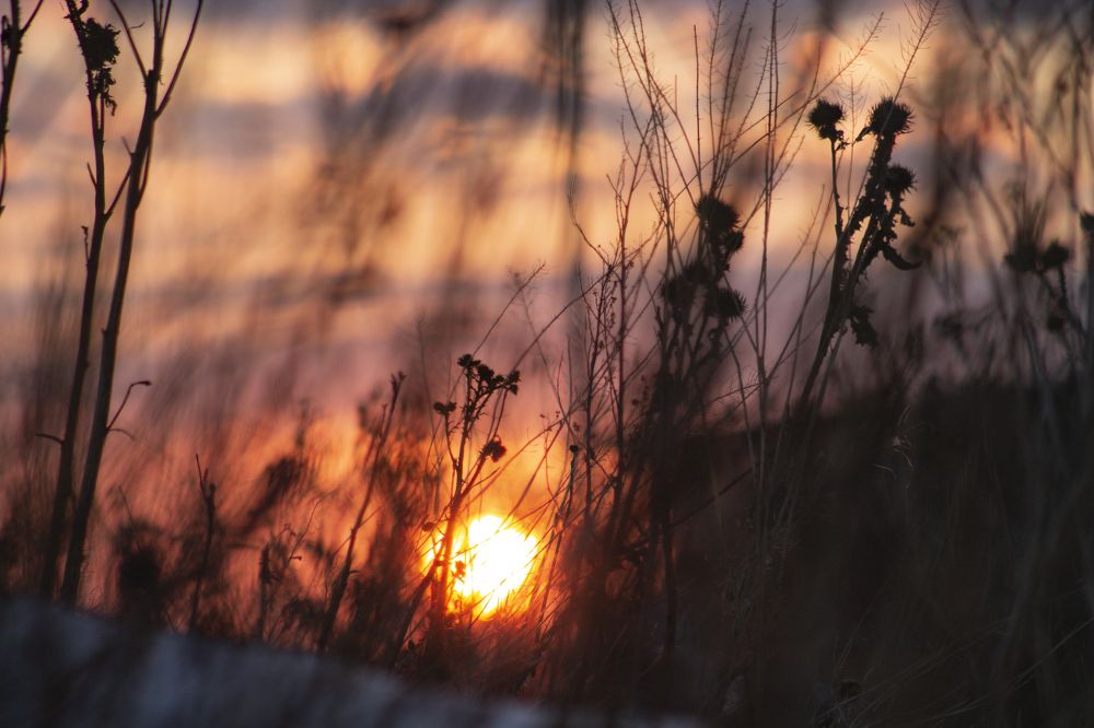 Photograph by Артем Попов