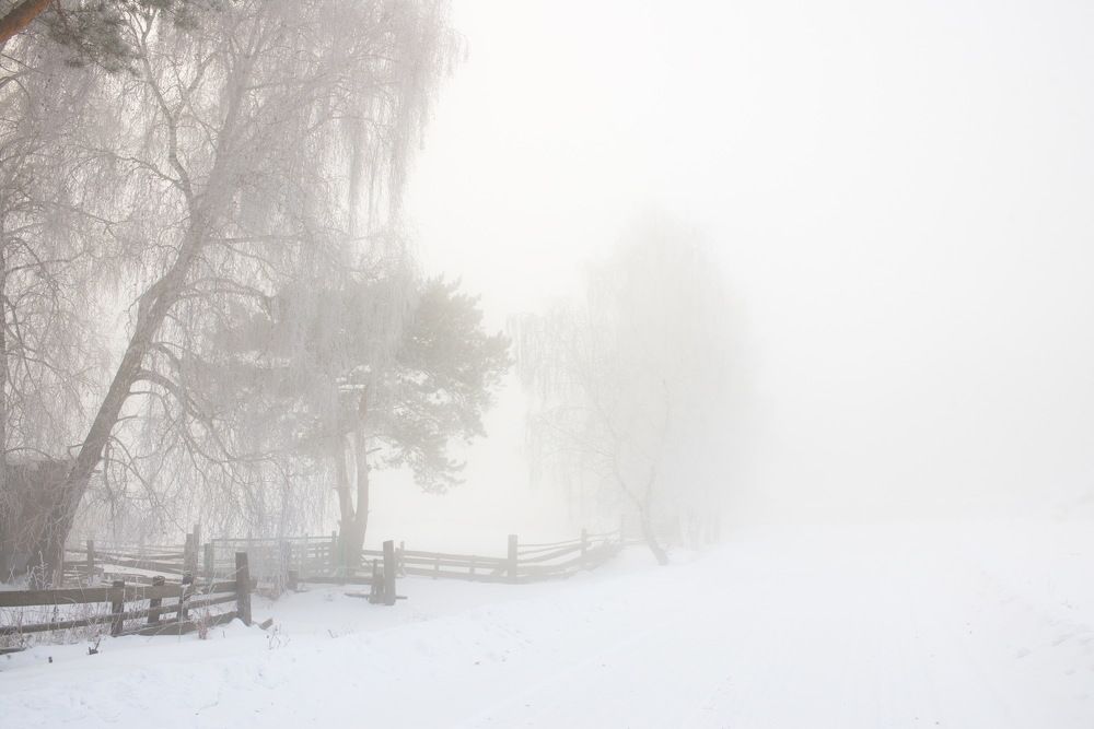 Photograph by Сергей Богородский