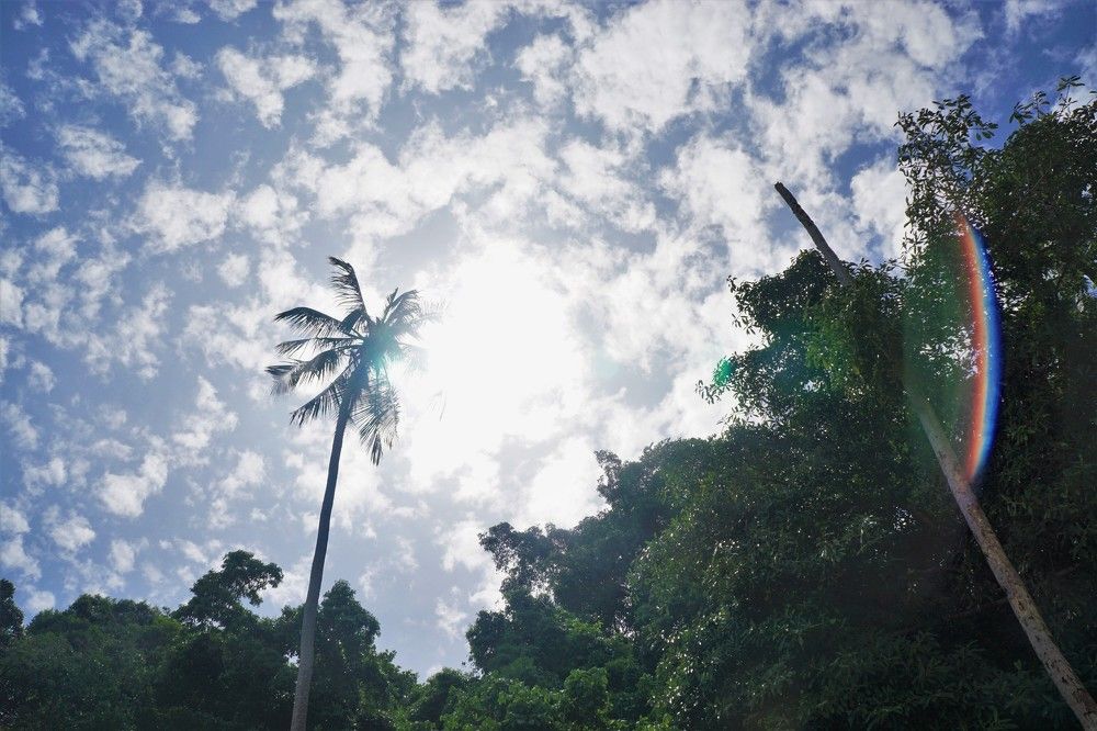 Photograph by phantoms thief