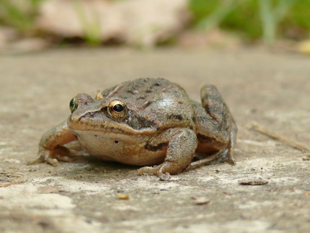 После дождя.