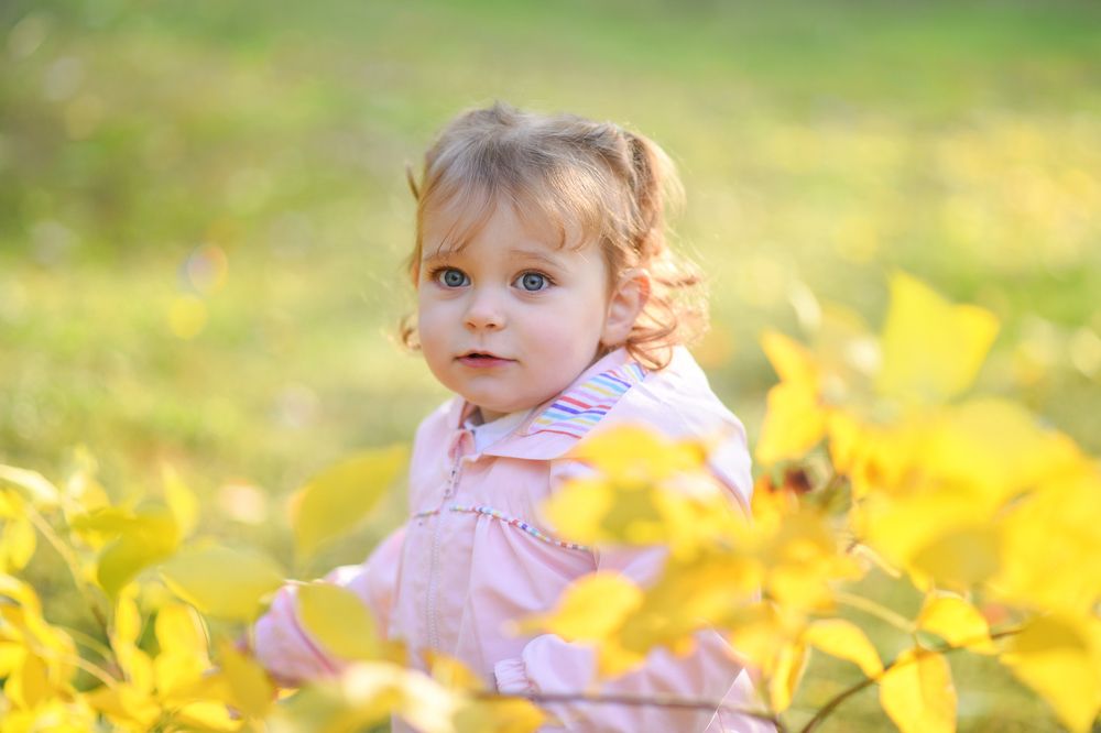 Фотография автора Gordana Angjelova