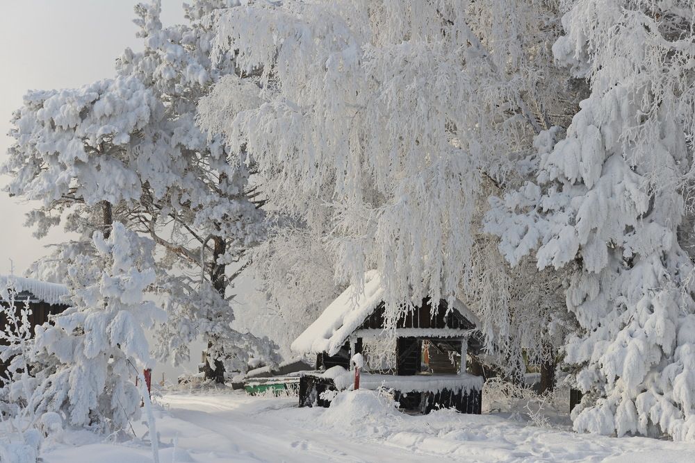 Photograph by Сергей Богородский