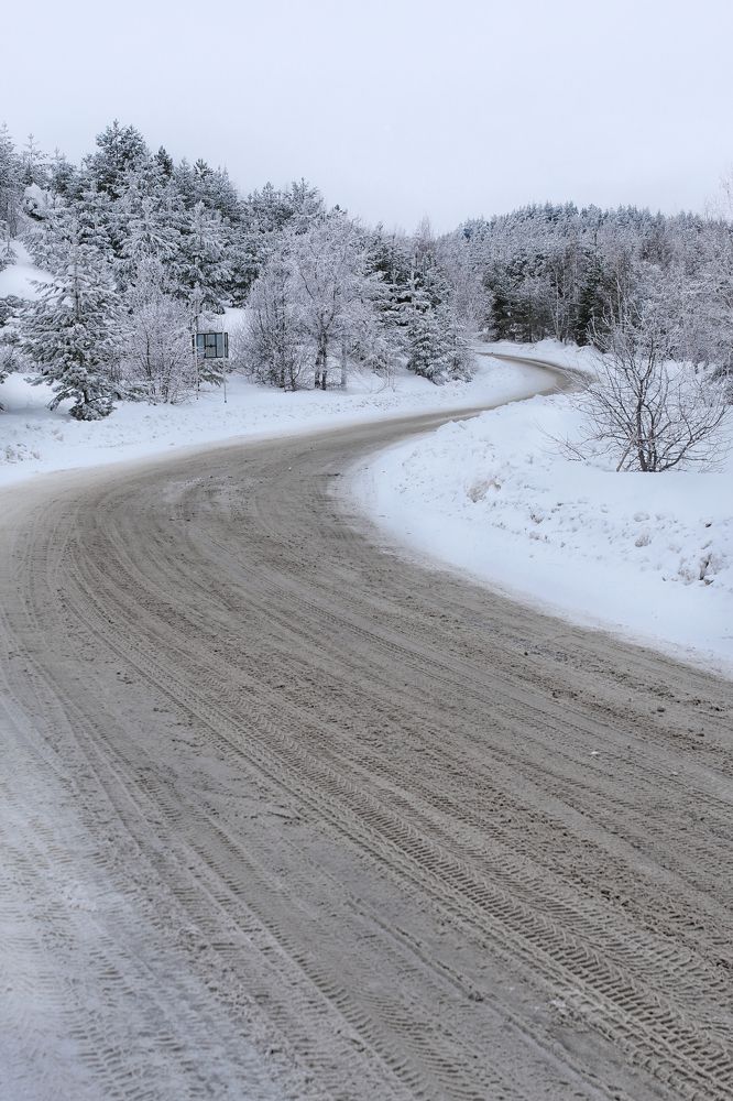 Photograph by Елена Неведицына