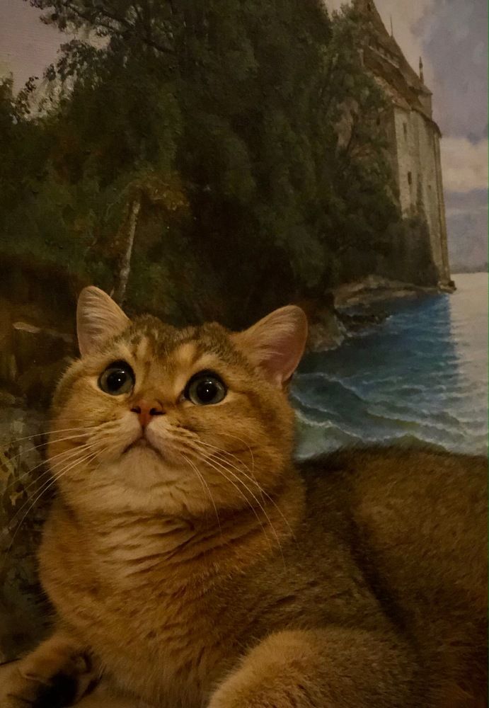 диалог с небесами