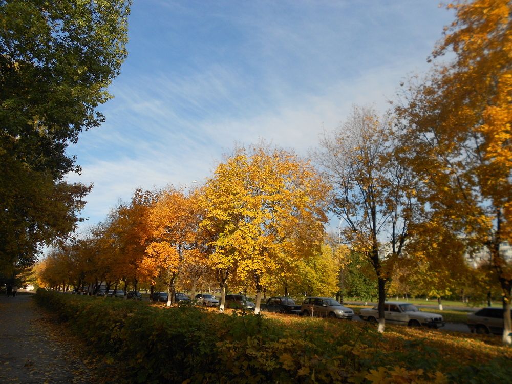 Photograph by Любовь Панфилова