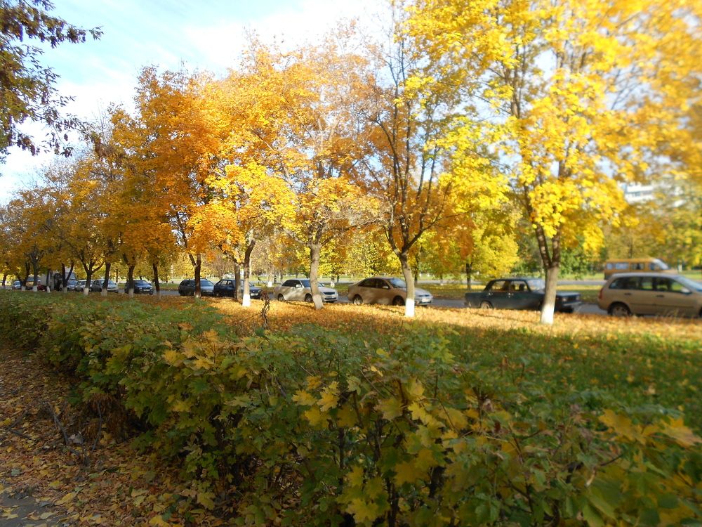 Photograph by Любовь Панфилова