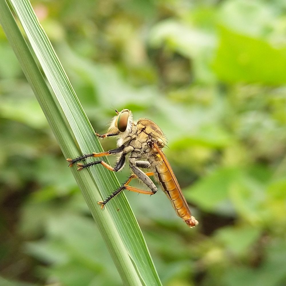 Photograph by sumit sitole