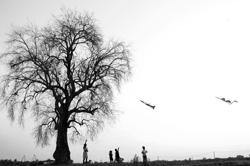 Photograph by NGỌC HẢI NGUYỄN