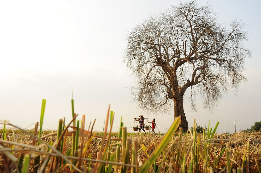 Photograph by NGỌC HẢI NGUYỄN