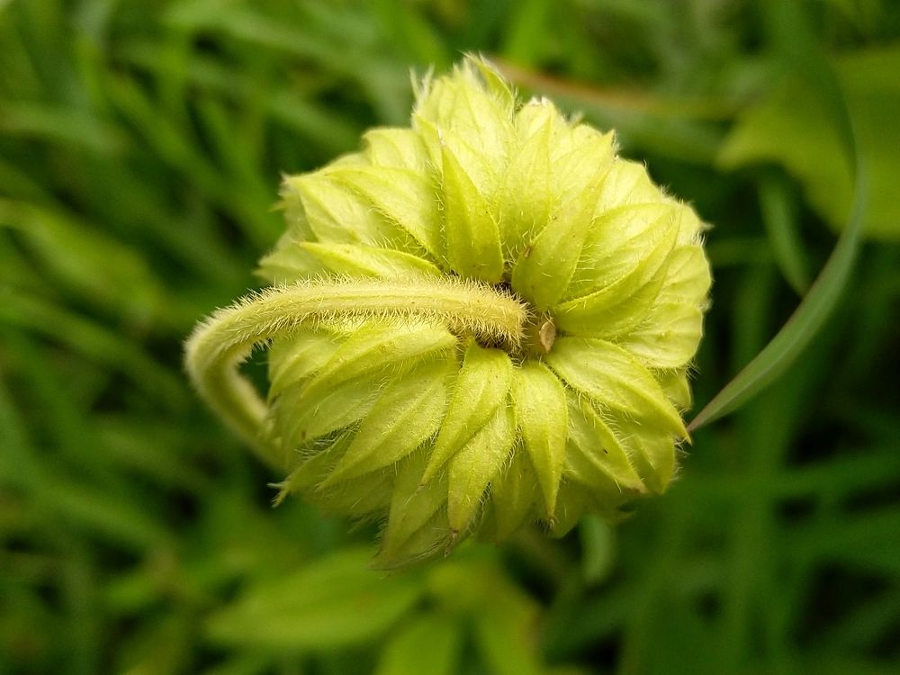 Photograph by sumit sitole