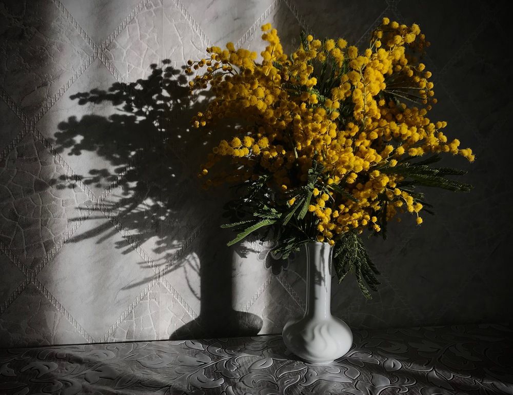 Photograph by Светлана Богомолова