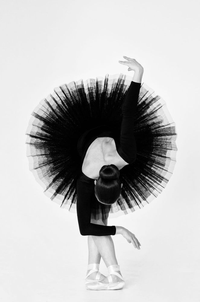 Привет , РОМАШКА !