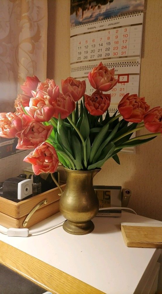 Photograph by Софья Андреевна Кирьякова