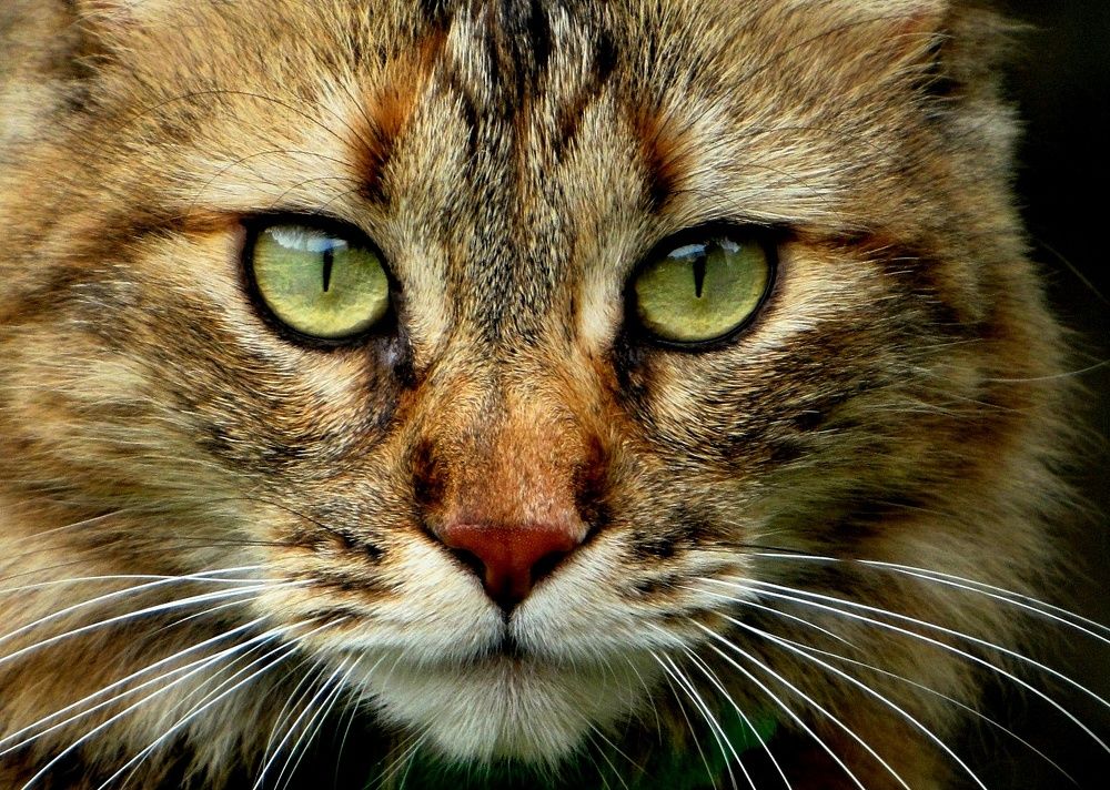 Photograph by Beatriz Games