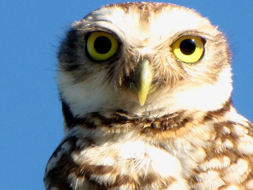 Photograph by Beatriz Games