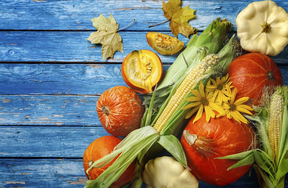 Осенний урожай.