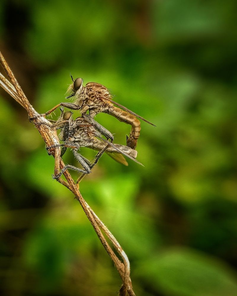 Photograph by Tomas Hadi